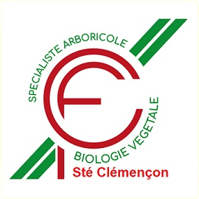 Clémençon Élagage